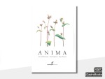 Anima