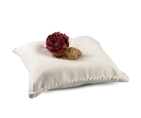 Plato The Pillow - 2 uds.