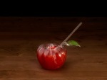 Tomato Glass